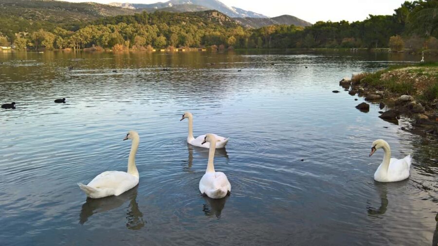 Argostoli and Beyond: A Journey through Villages - The Saint Theodoroi Lighthouse and Coastal Views
