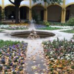 Arles: Art and History Walking Tour - Visiting the Espace Van Gogh, Where Art Meets the City