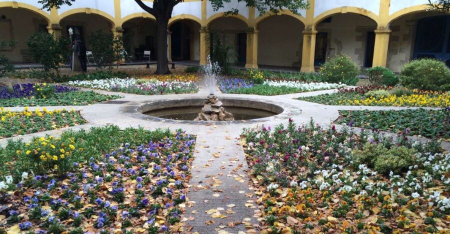 Arles: Art and History Walking Tour - Visiting the Espace Van Gogh, Where Art Meets the City