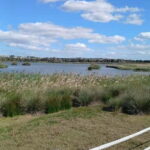 Armação de Pera: Salgados Natural Park E-Bike Tour - Riding Electric Mountain Bikes Through Scenic Landscapes