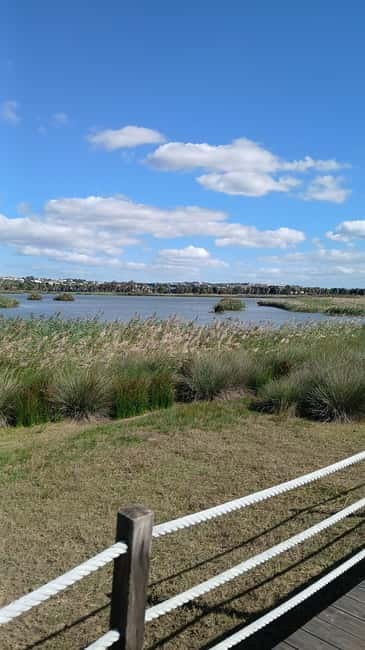 Armação de Pera: Salgados Natural Park E-Bike Tour - Riding Electric Mountain Bikes Through Scenic Landscapes