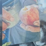 Armamar: Apple Orchard Tour with Lunch and Tastings - Starting at São Domingos Viewpoint to See Apple Trees