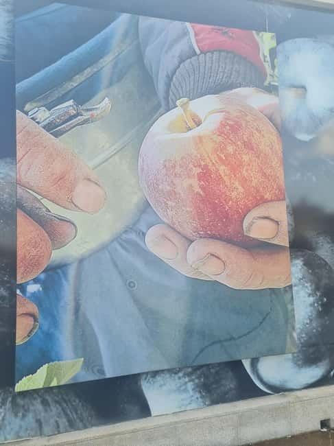 Armamar: Apple Orchard Tour with Lunch and Tastings - Starting at São Domingos Viewpoint to See Apple Trees