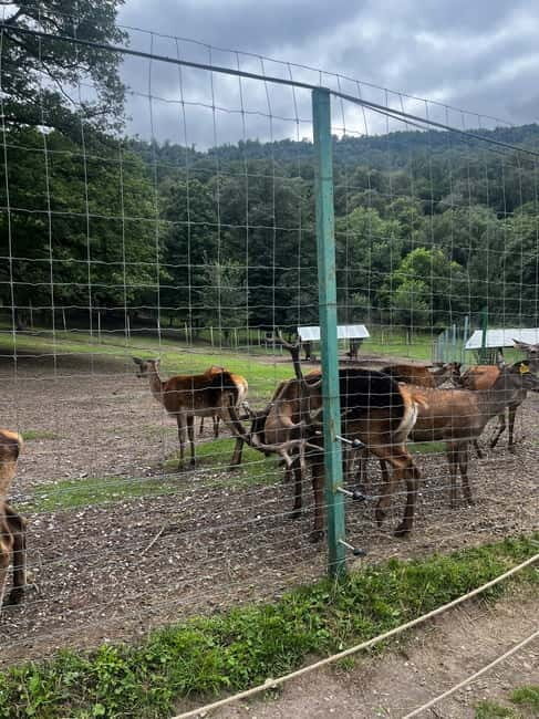 Armenia: Private Tour to Dilijan & Lake Sevan - Starting from Yerevan for a Day of Natural and Cultural Highlights