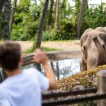 Arnhem: Burgers' Zoo Entry Ticket - Inside the Largest Indoor Mangrove in the World