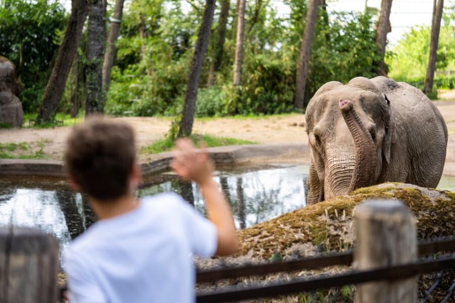 Arnhem: Burgers' Zoo Entry Ticket - Inside the Largest Indoor Mangrove in the World
