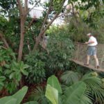 Arona: Entry Ticket to Tenerife's Jungle Park Zoo - Sea Lions and Penguin Encounters