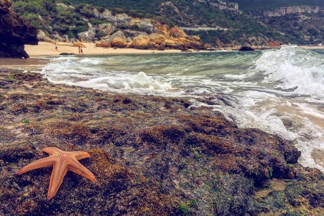 Arrábida Jeep Tour  Europe's Most Beautiful Beach & Hidden Gems - Galapinhos Beach: Europe’s Most Beautiful Beach