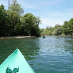 Arriondas: Descenso del Sella en Canoa - What to Expect on the Water: Wildlife and Scenic Views