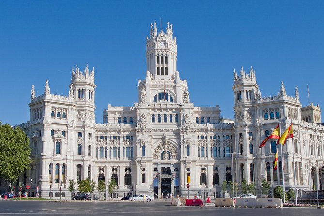 Arrival Transfer: Madrid Airport MAD to Madrid in Luxury Van - Flexible Waiting Times and Flight Monitoring