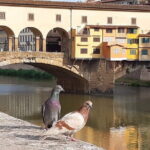 Art and History -Florence walking small group tour - The Historic Heart of Florence: Piazza della Signoria and Palazzo Vecchio