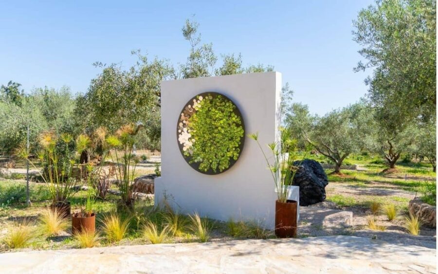 Arte-Contemporary: Sculpture Park and Art Gallery visit - The Art and Nature of the La Ràpita Sculpture Park