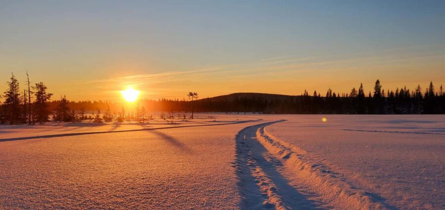 Arvidsjaur: 4-hour custom snowmobile tour in Swedish Lapland - Starting Point and Pickup Arrangements in Arvidsjaur