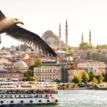 Asian Side of Istanbul Tour - Half-Day Small Group Tour - Crossing the Bosphorus Bridge for a Citywide Perspective