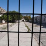 ASINARA ISLAND-TOUR full day Minivan in the National Park - Exploring the Wildlife and Birdlife