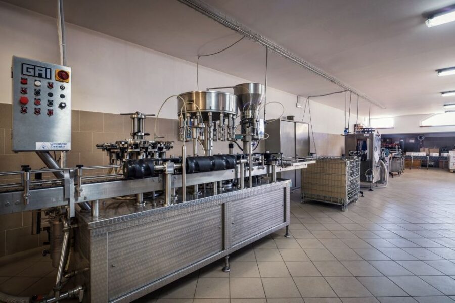 Assisi: Organic Winery Tour with Tastings & Typical Food - Exploring the Organic Winery on Mount Subasio