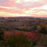 Assisi Rental Vespa '125cc - full day - Starting Point at Hotel Bellavista for a Smooth Ride