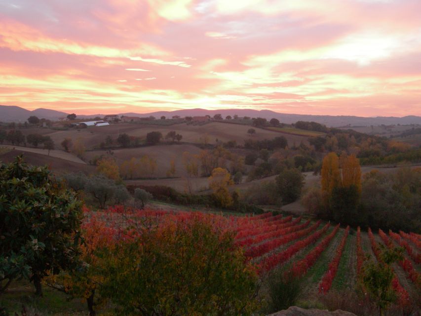 Assisi Rental Vespa '125cc - full day - Starting Point at Hotel Bellavista for a Smooth Ride