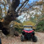 Athens Adventure Tour in Parnitha Mountain with 1000cc Buggy - Key Points