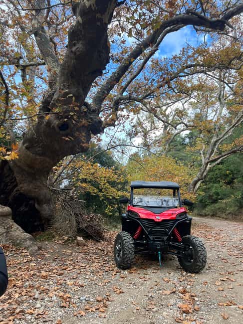 Athens Adventure Tour in Parnitha Mountain with 1000cc Buggy - Key Points
