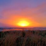 Athens: Authentic neighborhoods & the beach Bike Tour - Pedaling Along the Ilissos Riverbed to the Stavros Niarchos Foundation Cultural Center