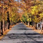 Athens: Best Peloponnesian Villages Full Day Private Tour - Visiting Vitina: A Picturesque Mountain Village