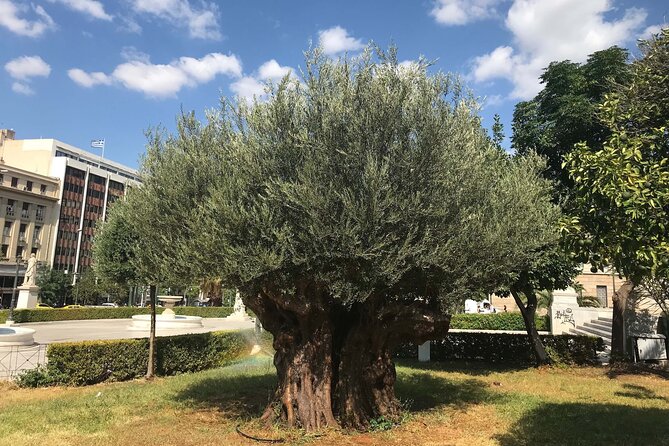 Athens by E-Bike: Monuments, Food & Transfers (Cruise Tour) - Active Stops at Key Archaeological Sites