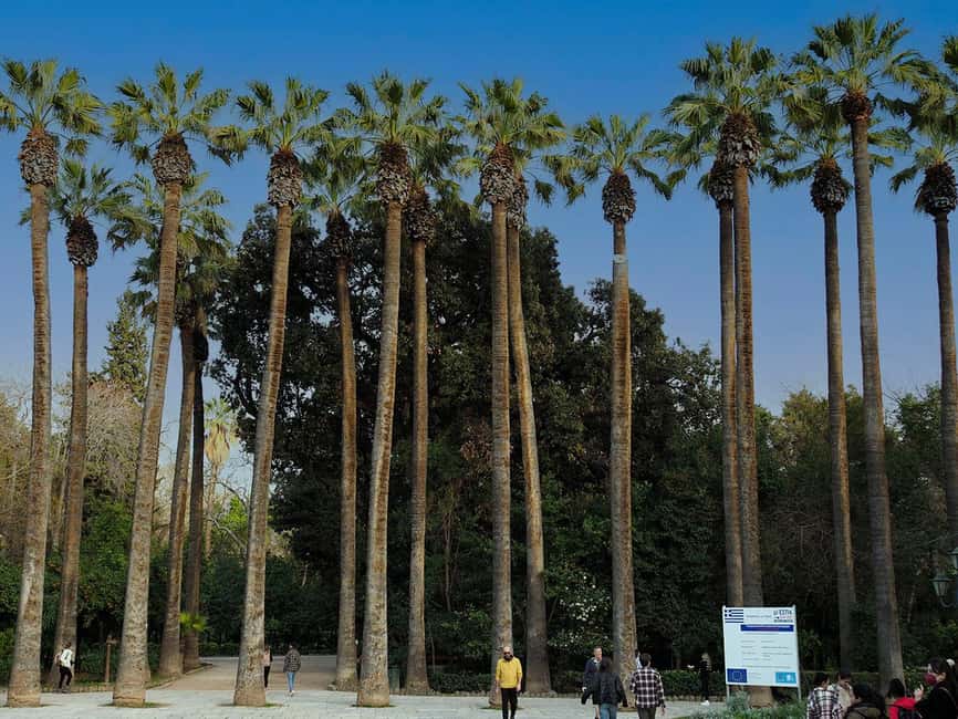 Athens: City Tour with Local Licensed Guide, Local Expert - Highlights: Changing of the Guards at the Tomb of the Unknown Soldier