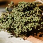 Athens Cooking Class and Lunch in our beautiful garden in Greece - Optional Market Visit on Tuesdays