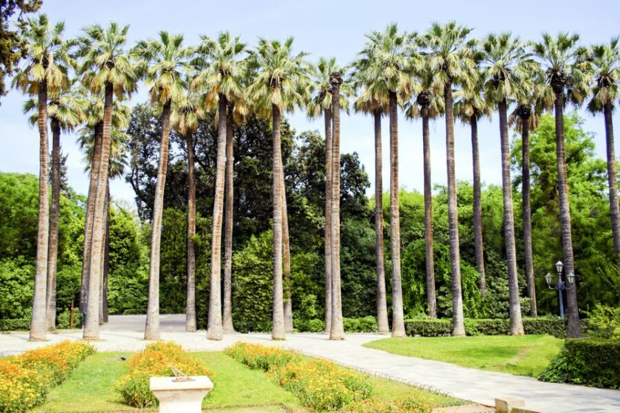 Athens Instagram Tour: The Most Scenic Spots - Meeting in Front of the Nike Store Near Syntagma Square