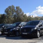 Athens Private Transfer: Piraeus Cruise Port to Central Athens - Reliability and Punctuality: A Key Strength