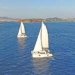 Athens: Riviera Catamaran Cruise with Meal and Drinks - Embarking from the Marina of Alimos for a Scenic Aegean Journey