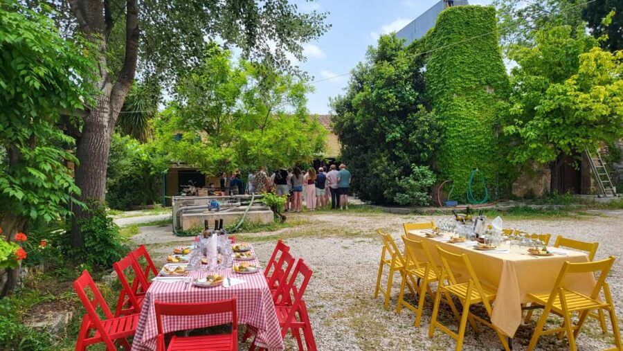 Athens Wine Experience & Sunset Escape - Scenic Drive Through Greece’s Wine Regions