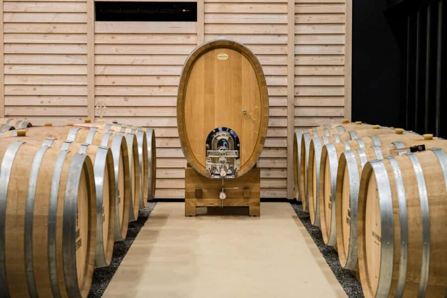 Aubance: Tour and Tasting at Domaine de Haute Perche - Exploring the Cellar and Winemaking Stages