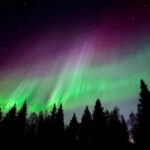 Aurora BBQ in the Private Place in Rovaniemi - Convenient Meeting Point in Rovaniemi City Center