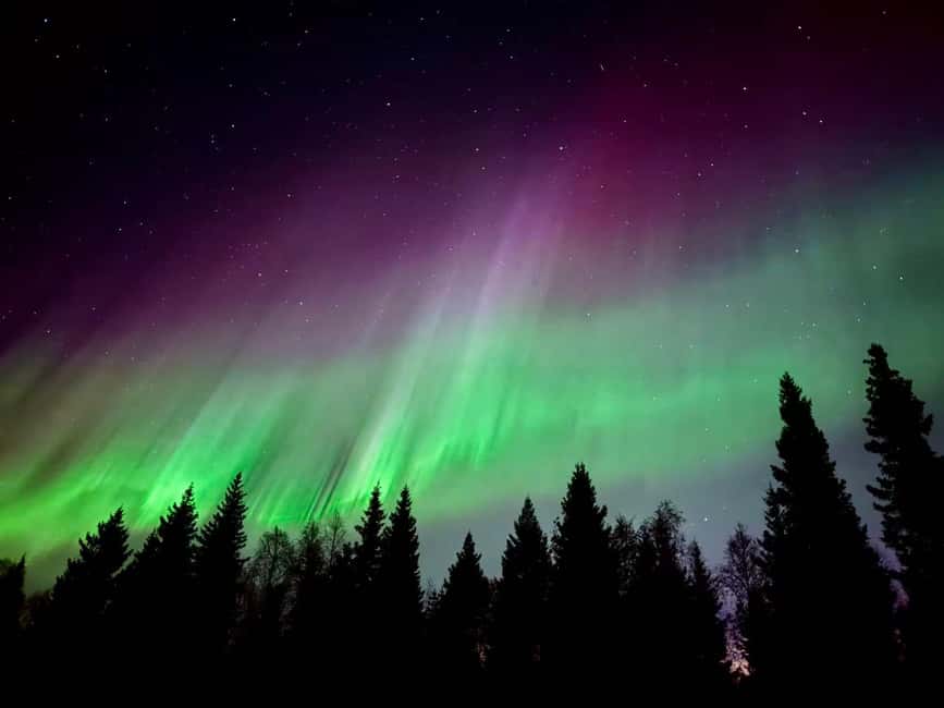 Aurora BBQ in the Private Place in Rovaniemi - Convenient Meeting Point in Rovaniemi City Center