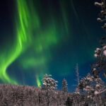 Aurora Borealis Picnic in Rovaniemi - The Wilderness of Lapland as a Viewing Setting