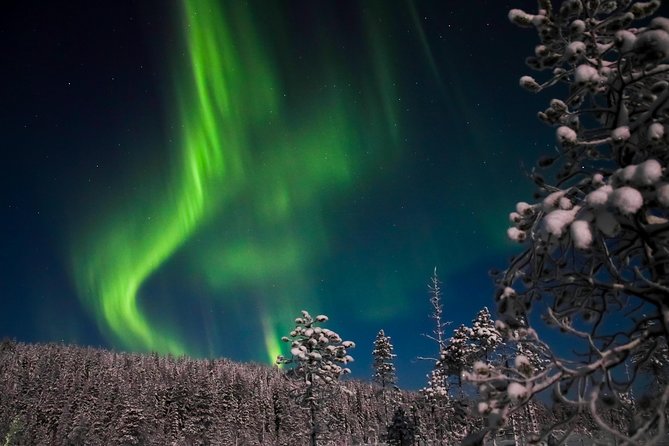 Aurora Borealis Picnic in Rovaniemi - The Wilderness of Lapland as a Viewing Setting