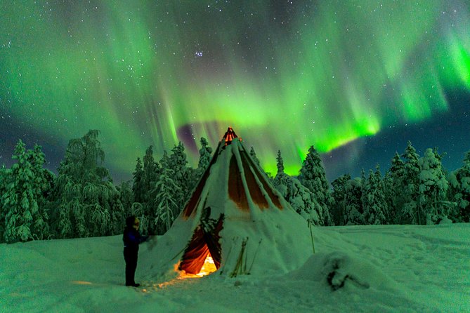 Auroras - Northern Lights Tours by Aurora Experts - Rovaniemi - The Guides Role and Weather Adaptability
