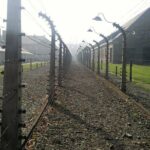Auschwitz and Birkenau Guided Tour from Krakow - Visiting the Auschwitz-Birkenau Memorial: The Main Stops