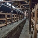 Auschwitz and Birkenau Tour with Hotel Pick up from Krakow - Logistics: Pickup, Transport, and Group Size