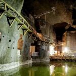 Auschwitz-Birkenau and Salt Mine Full day tour - How the Tour Manages Logistics and Comfort