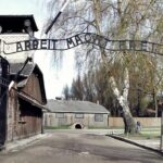 Auschwitz-Birkenau Guided Tour by Private Transport from Krakow - Exploring Auschwitz I and Birkenau