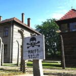 Auschwitz-Birkenau Memorial and Museum Guided Tour from Krakow - The Transport: Comfortable and Reliable