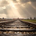 Auschwitz-Birkenau Memorial and Museum Guided Tour - Private Transport - Exploring Birkenau with an Expert Guide