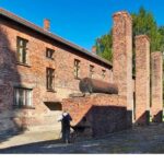 Auschwitz-Birkenau Museum and Memorial Guided Tour from Krakow - Exploring Auschwitz I and Birkenau with Guided Insights