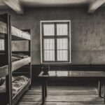 Auschwitz-Birkenau & Salt Mine Tour in One Day from Krakow - How the Tour Combines Two Historic and Cultural Icons in One Day