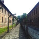 Auschwitz-Birkenau Self-Guided Visit from Krakow with Private Transfers - Private Transportation from Krakow: Comfort and Convenience