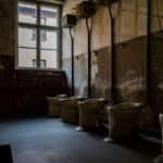 Auschwitz-Birkenau: Skip-the-Line Entry and Guided Tour - Exploring Auschwitz I for Two Hours