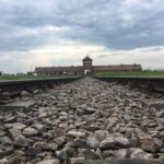Auschwitz-Birkenau Tour from Wroclaw - Starting Point at Cinema New Horizons in Wroclaw